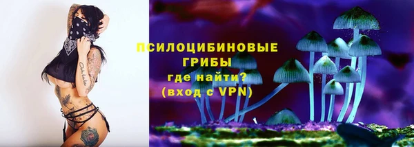 МДПВ Алзамай